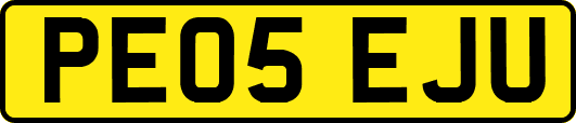PE05EJU