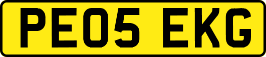 PE05EKG