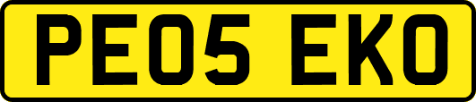 PE05EKO