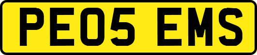 PE05EMS