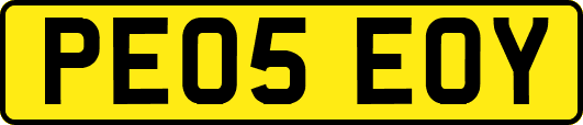 PE05EOY