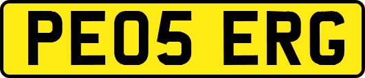 PE05ERG