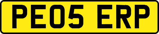PE05ERP