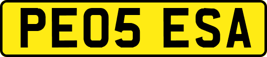 PE05ESA