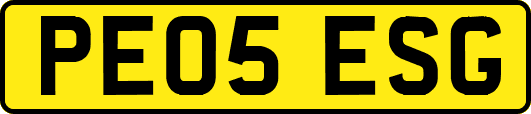 PE05ESG