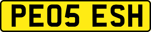 PE05ESH