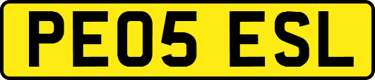 PE05ESL