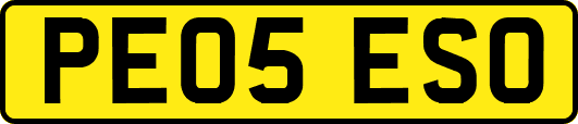 PE05ESO