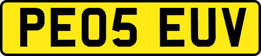 PE05EUV