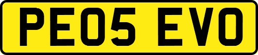 PE05EVO