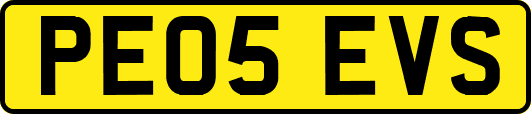 PE05EVS