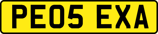 PE05EXA