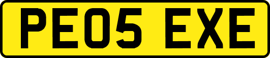 PE05EXE