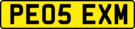 PE05EXM