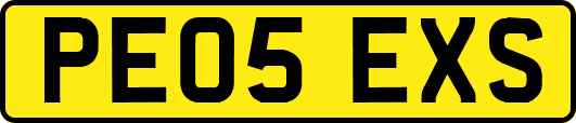PE05EXS