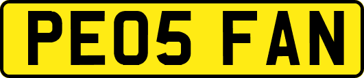 PE05FAN