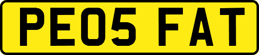 PE05FAT