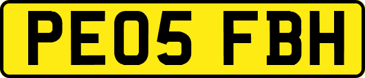PE05FBH