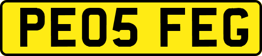 PE05FEG
