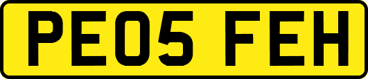 PE05FEH