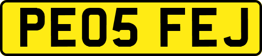 PE05FEJ