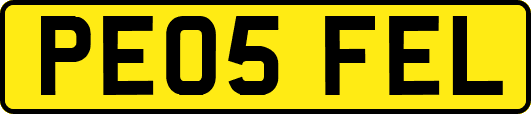 PE05FEL