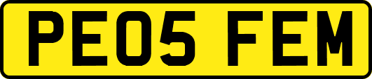 PE05FEM