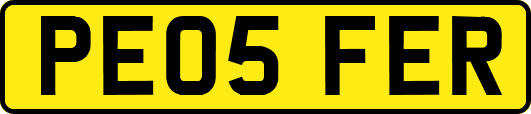 PE05FER
