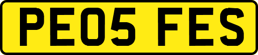 PE05FES