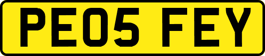PE05FEY