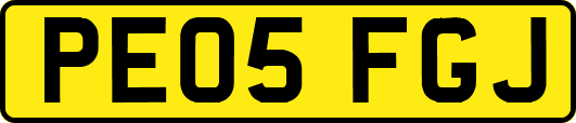 PE05FGJ