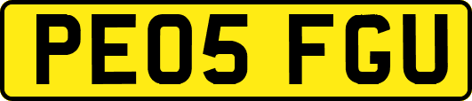 PE05FGU