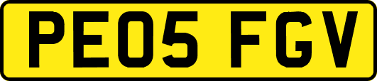 PE05FGV