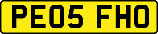 PE05FHO