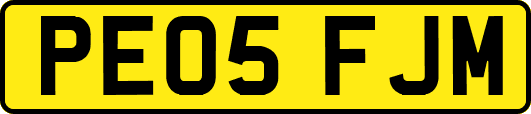 PE05FJM