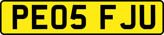 PE05FJU