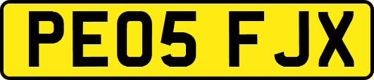 PE05FJX