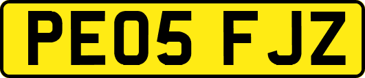 PE05FJZ