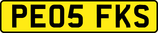 PE05FKS