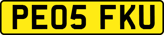 PE05FKU