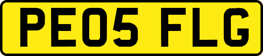 PE05FLG