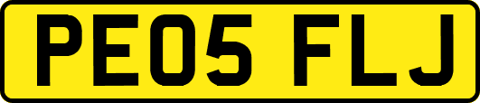 PE05FLJ
