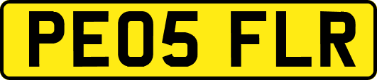PE05FLR