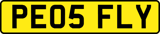 PE05FLY