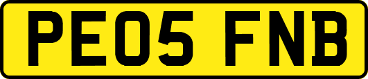 PE05FNB