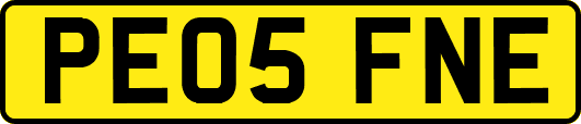 PE05FNE