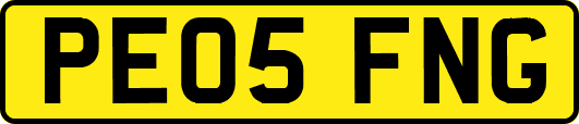 PE05FNG