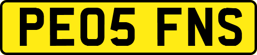 PE05FNS
