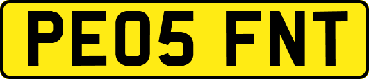 PE05FNT