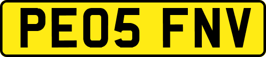 PE05FNV